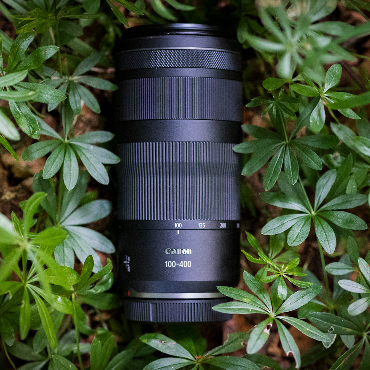 Canon RF 100-400 mm 1:5,6-8  IS USM