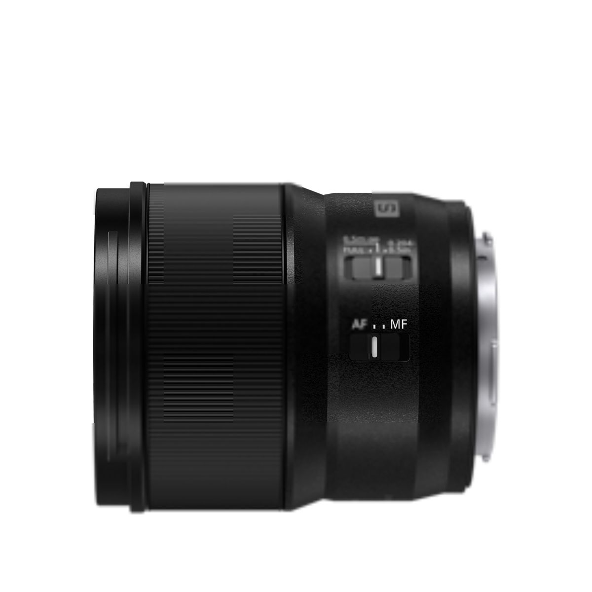 Panasonic Lumix S 100 mm 1:2.8 Makro