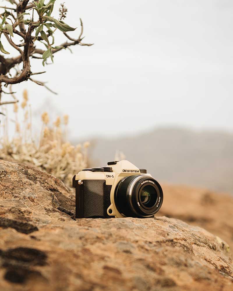 OM SYSTEM OM-5 Mark II in Sand Beige auf Fels in Naturumgebung