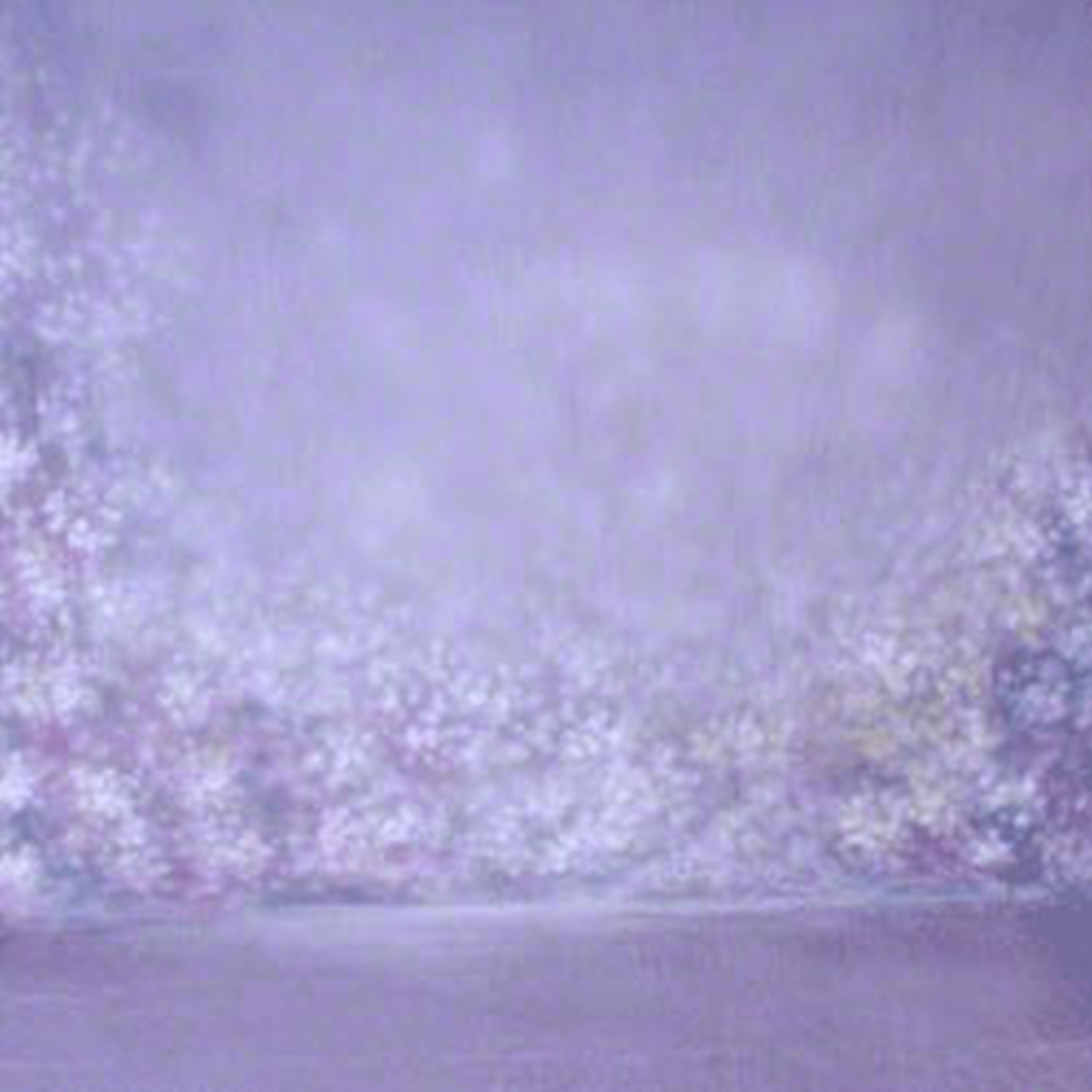 Walimex pro Motiv-Stoffhintergrund 'Bright', 3x6 m