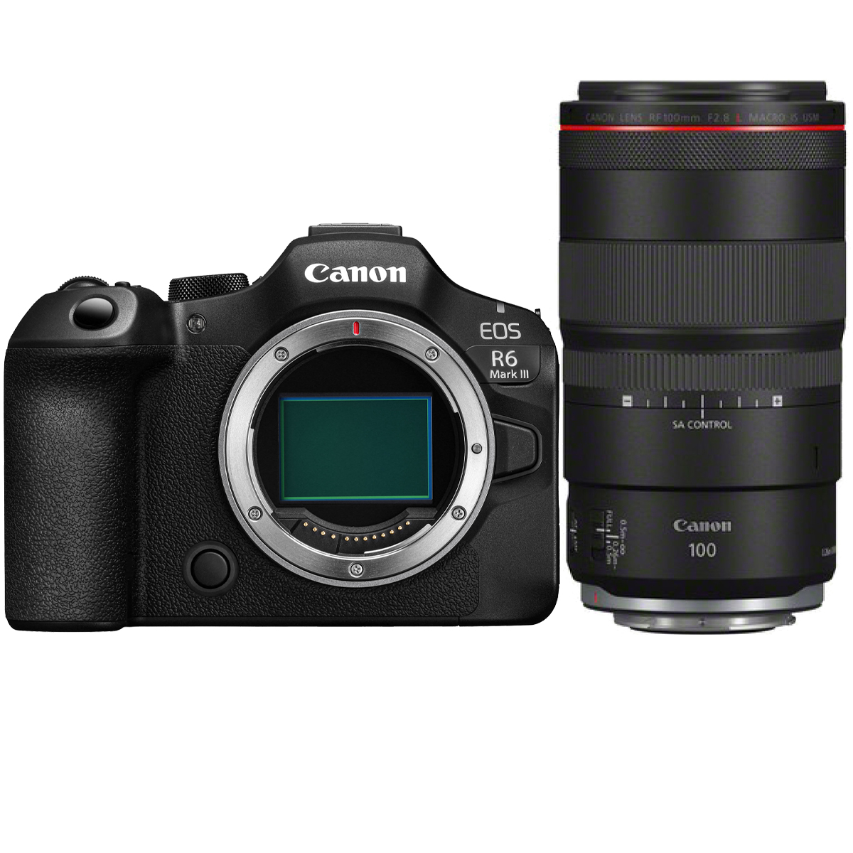 Canon EOS R6 Mark III mit Canon 100 mm 1;2,8 RF L IS USM