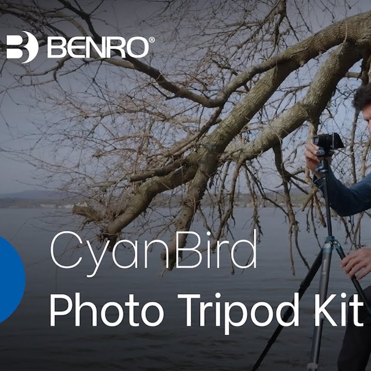 Benro CyanBird Carbon/Alu Stativ + N00P Kugelkopf