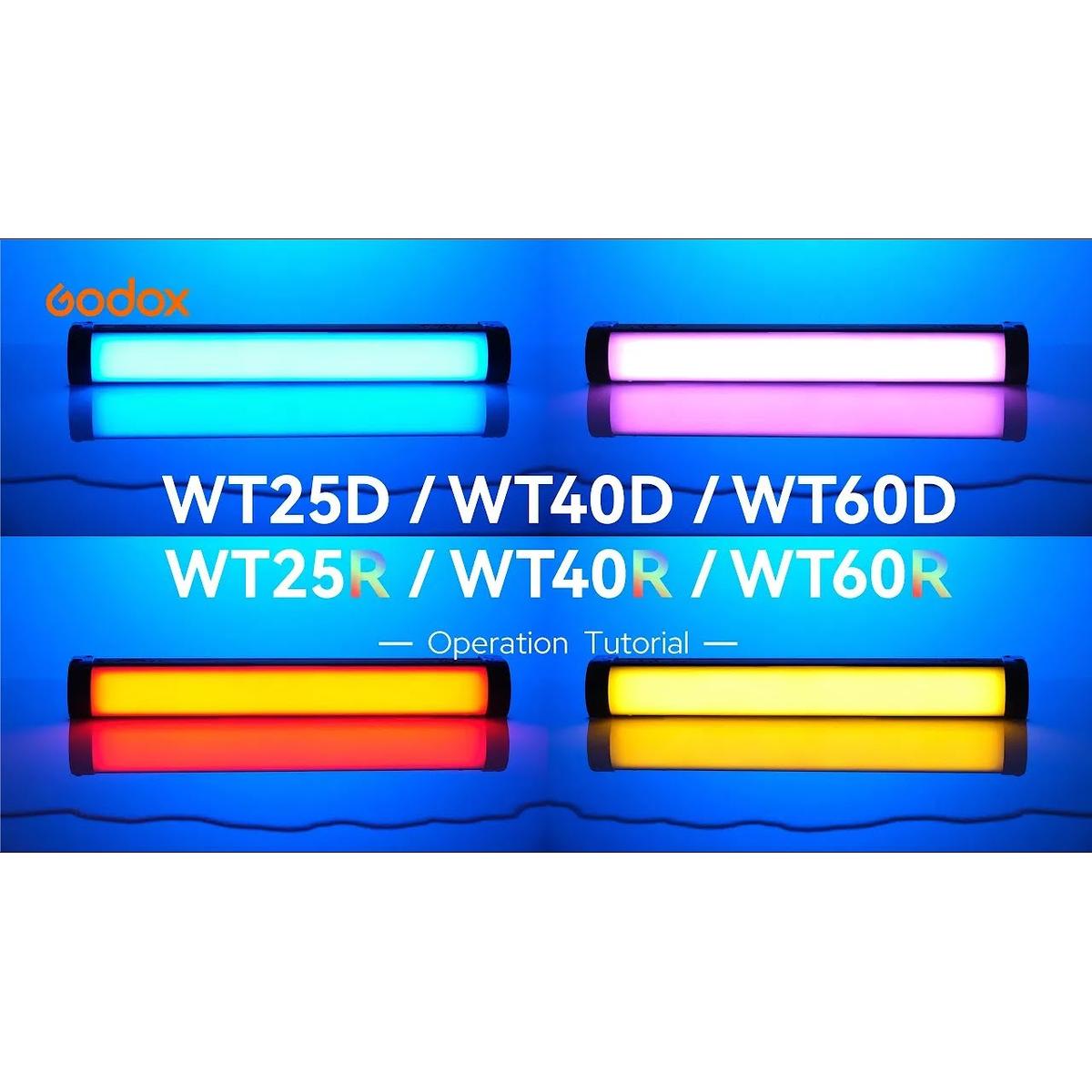 Godox WT25D Dive LED Licht