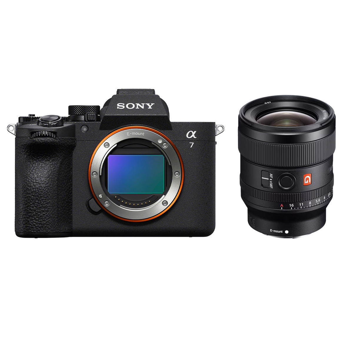 Sony Alpha 7 V + Sony 24 mm 1:1,4 GM