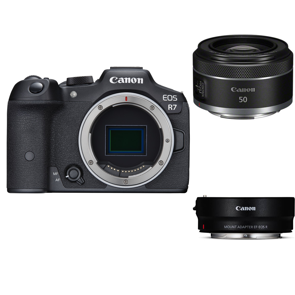 Canon EOS R 7 + 50 mm 1:1,8 RF + Adapter