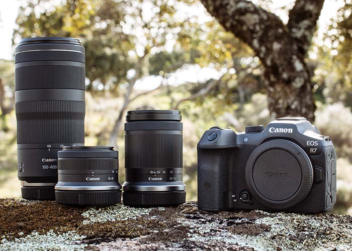 Canon EOS R7 mit RF-Objektiven – die leistungsstarke APS-C Kamera Canon EOS R7 mit RF-Objektiven im Überblick – APS-C Systemkamera für Sport- und Wildlife-Fotografie