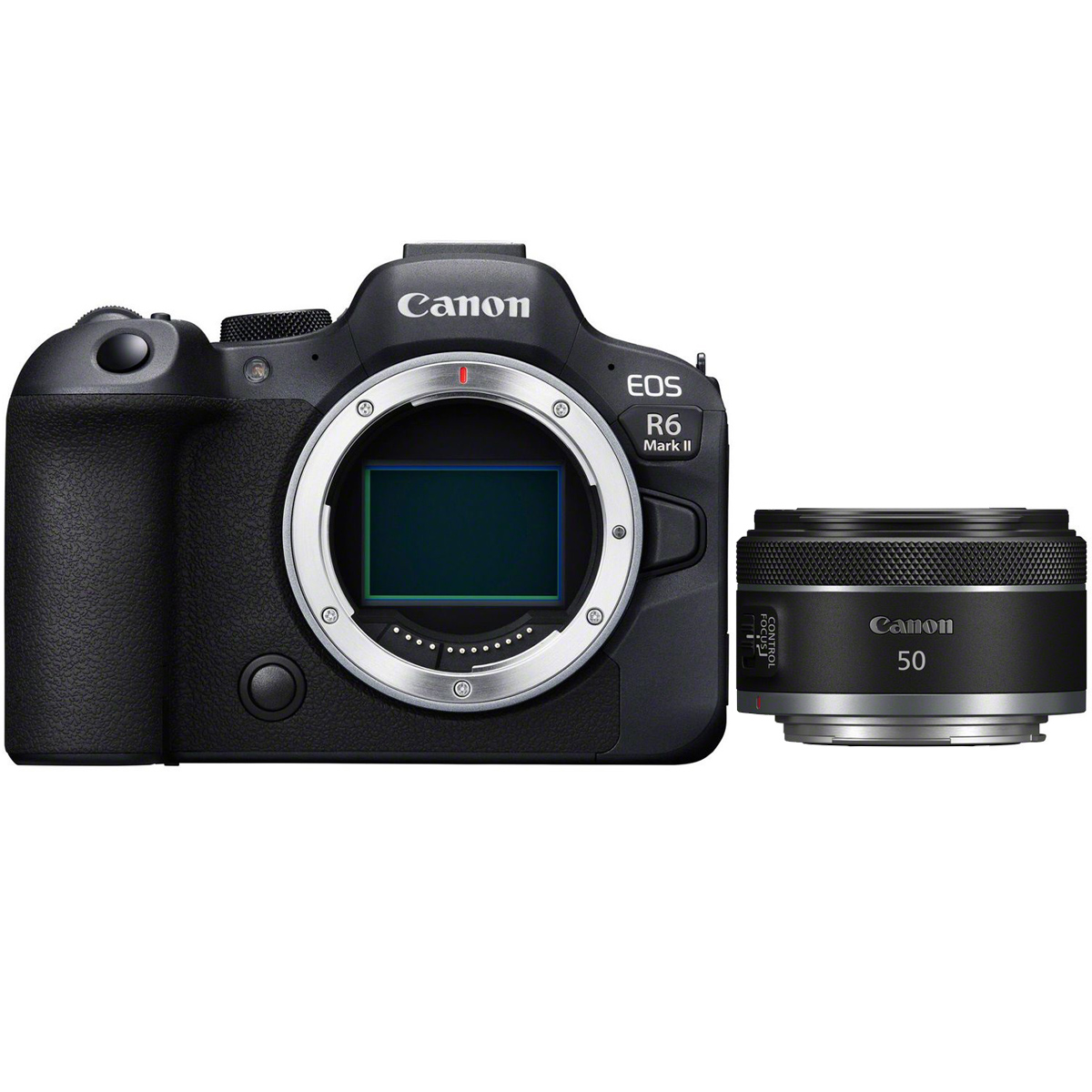 Canon EOS R6 Mark II + Canon 50 mm 1:1,8 RF