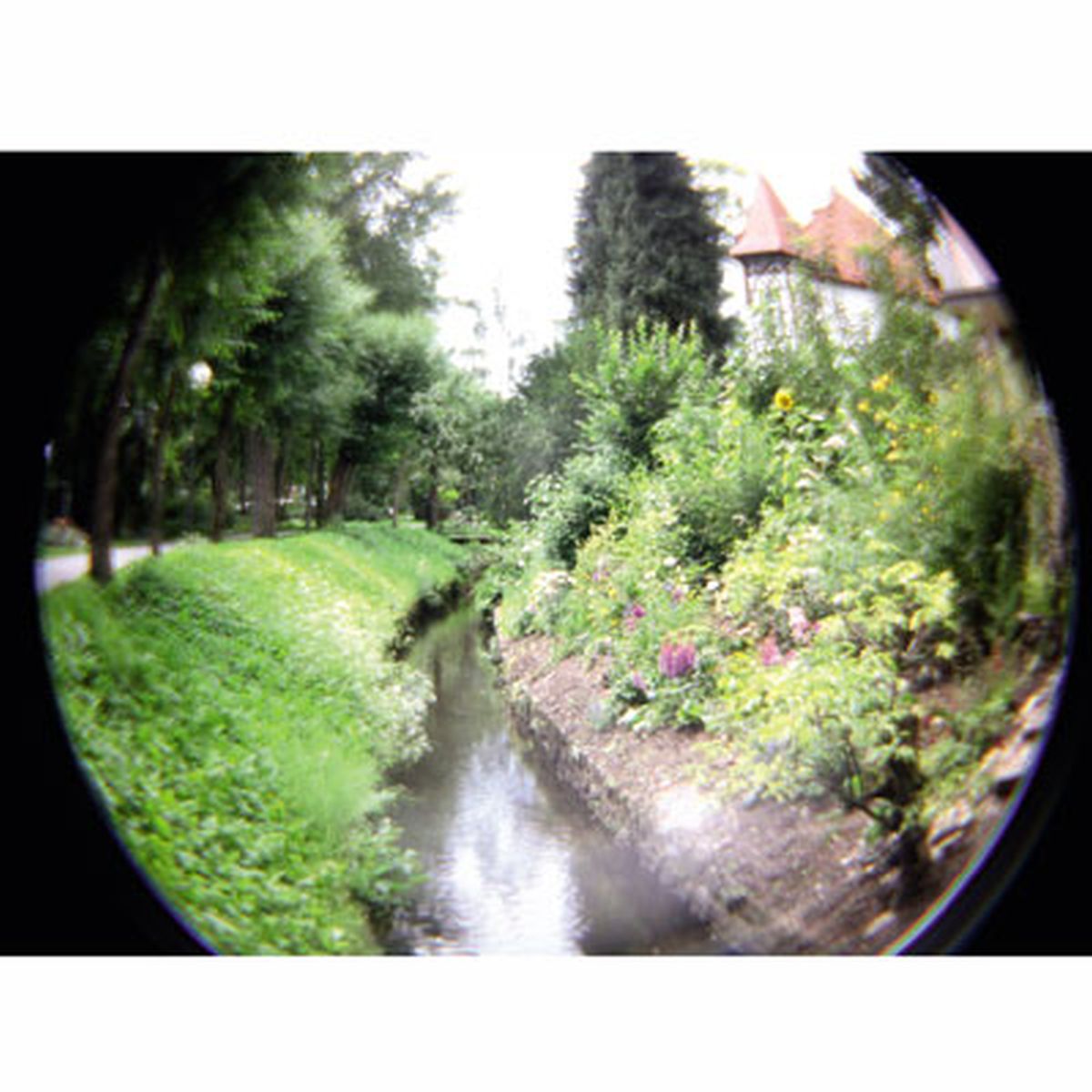 Holga Fisheye-Vorsatz für 60 mm Objektive