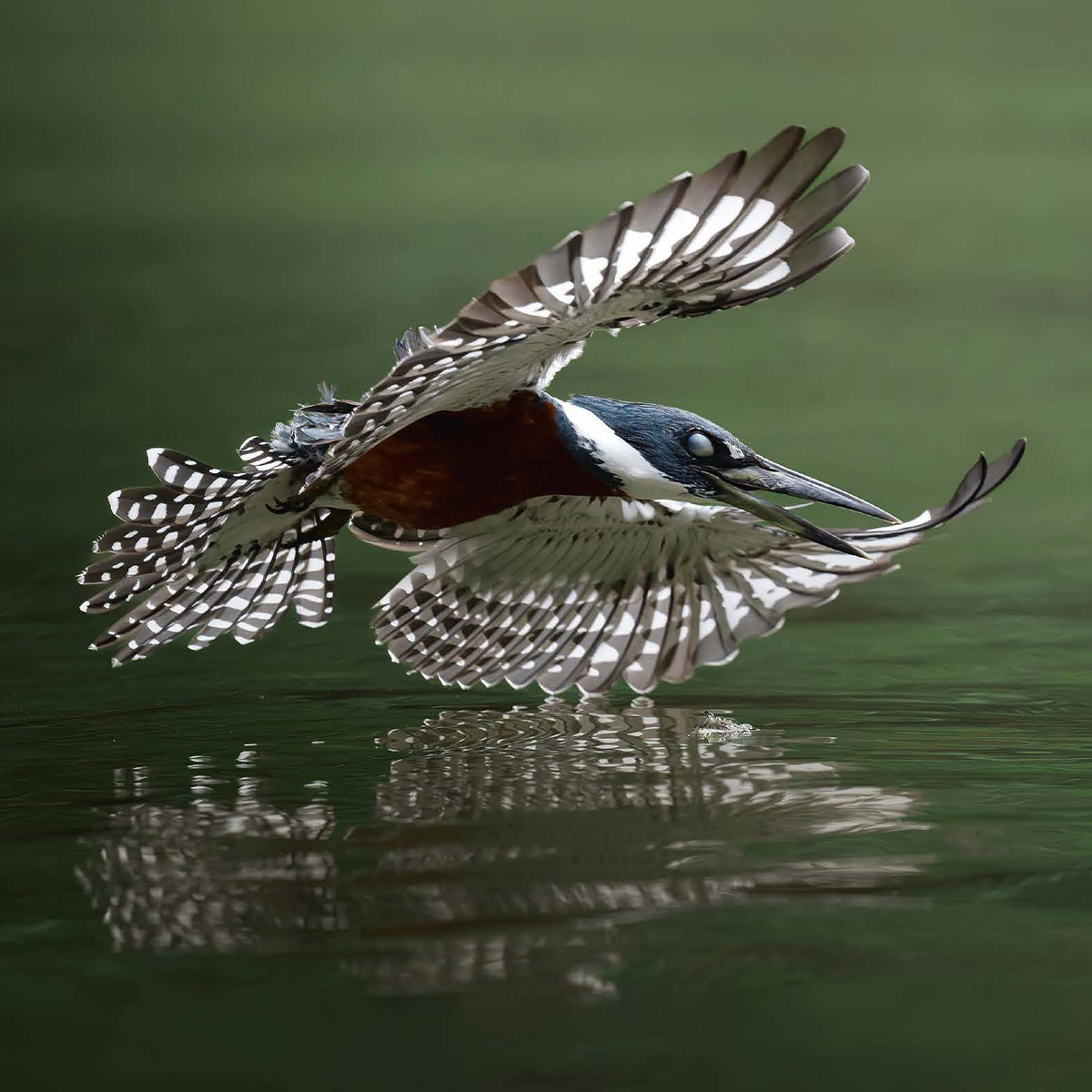 Sony: The Choice for Wildlife am 05.07.25 im Lindenthaler Tierpark