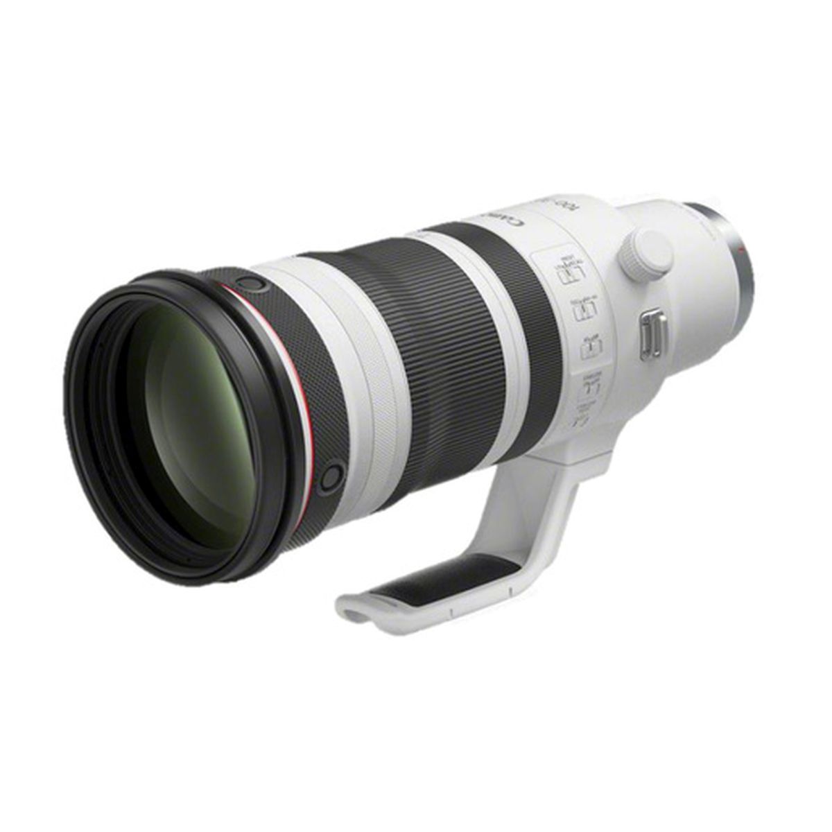 Canon RF 100-300 mm 1:2,8 L IS USM