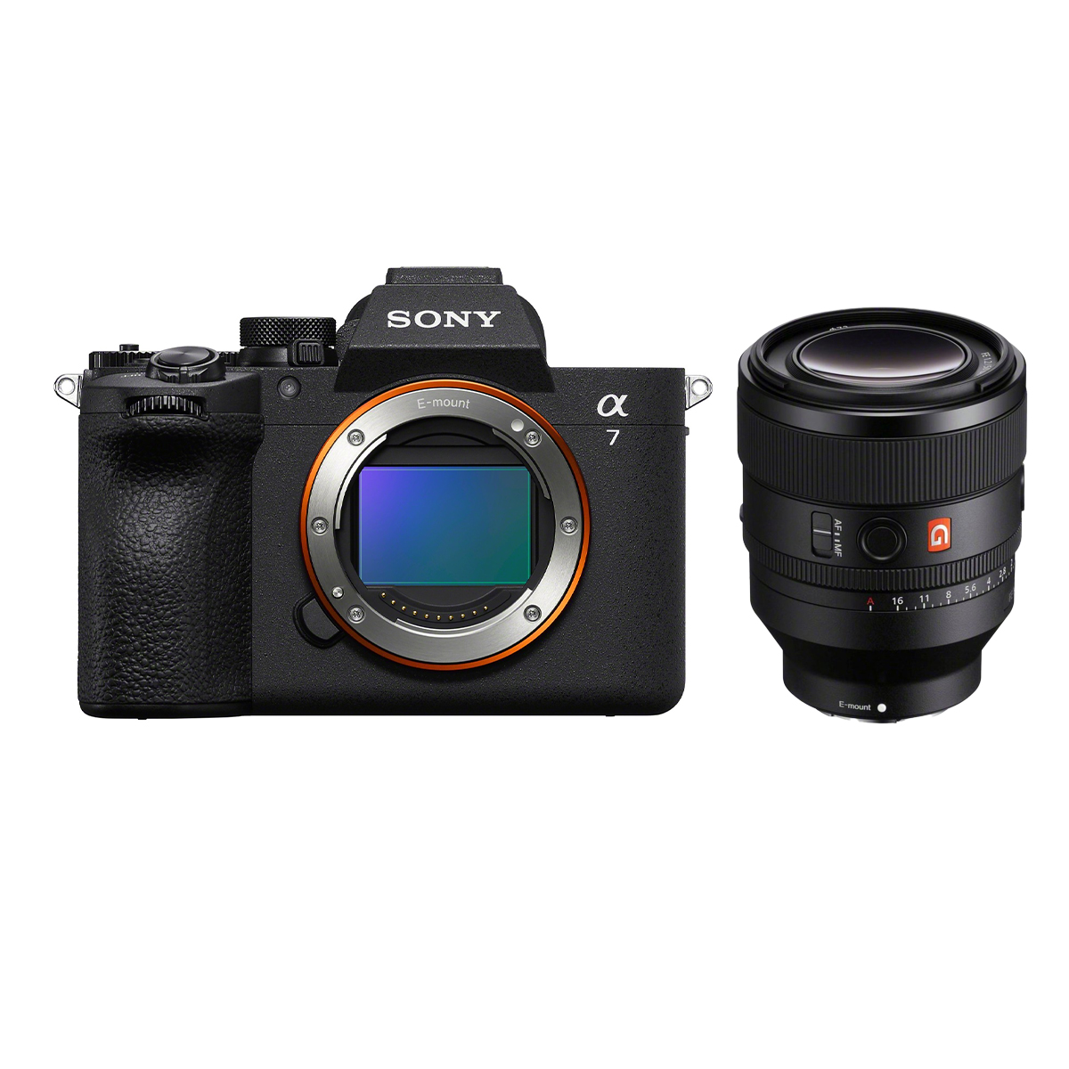 Sony Alpha 7 V + Sony 50 mm 1:1,2 GM