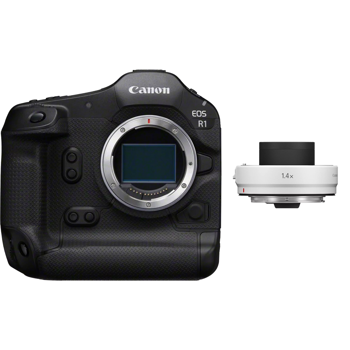 Canon EOS R1 + Canon Extender RF 1,4x Canon EOS R1 + Canon Extender RF 1,4x