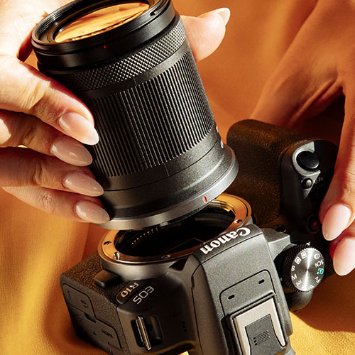 Canon RF Bajonett beim Ansetzen eines Objektivs an die EOS R Kamera