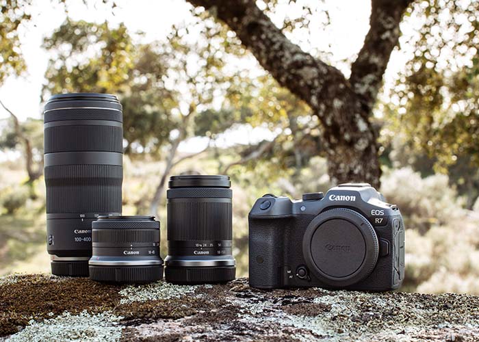 Canon EOS R7 mit RF-S und RF Objektiven – große Objektivauswahl für Systemkameras