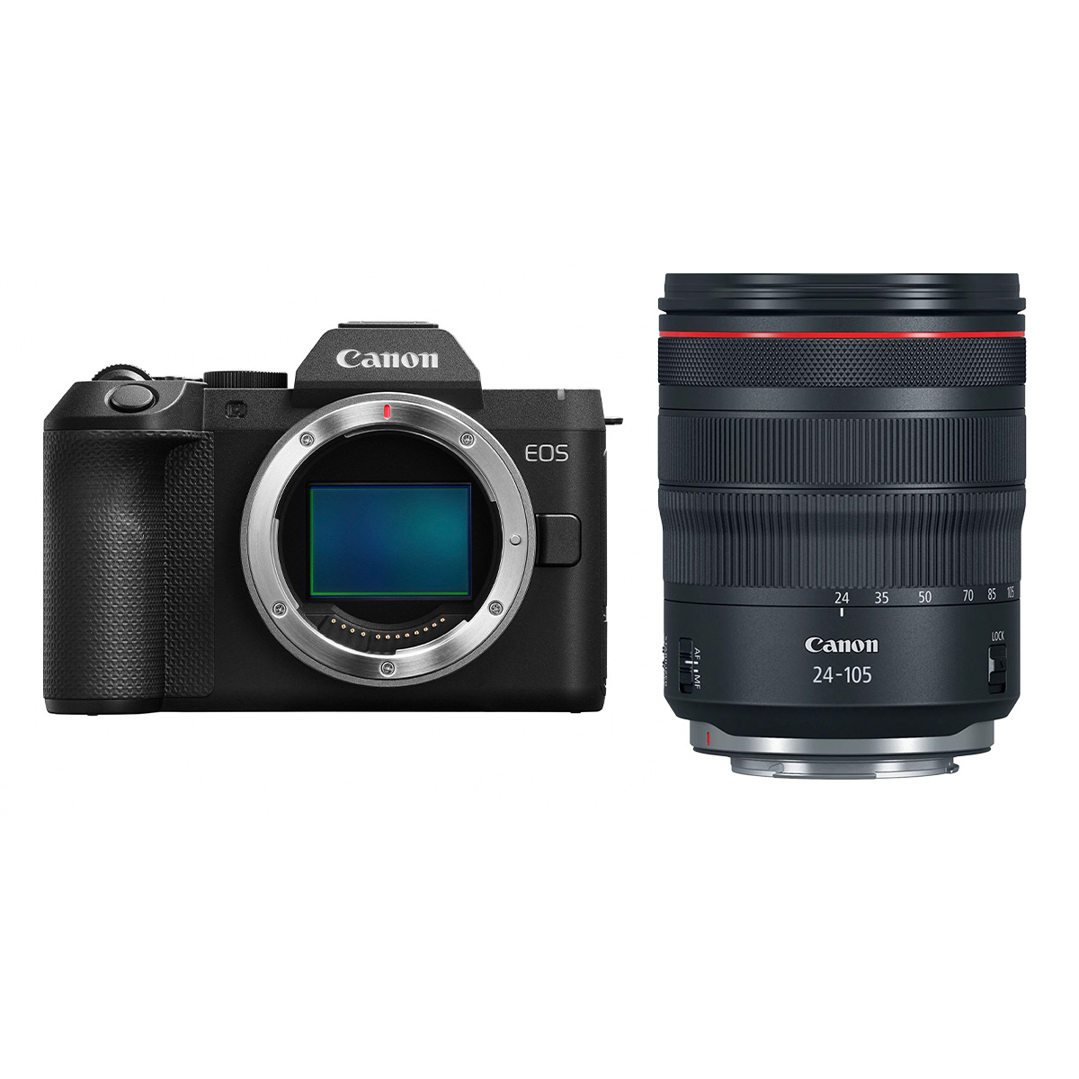 CANON EOS R 8 II + 24-105/4,0 RF