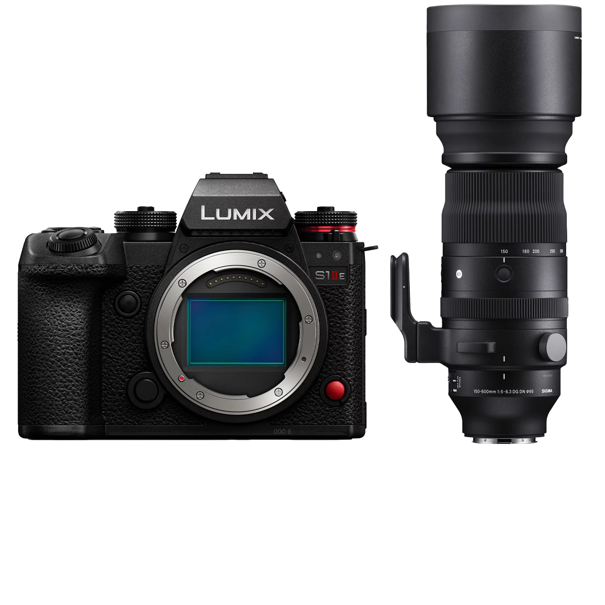 Panasonic DC-S1 IIE + Sigma 150-600 mm 1:5,0-6,3 DG DN OS (S)