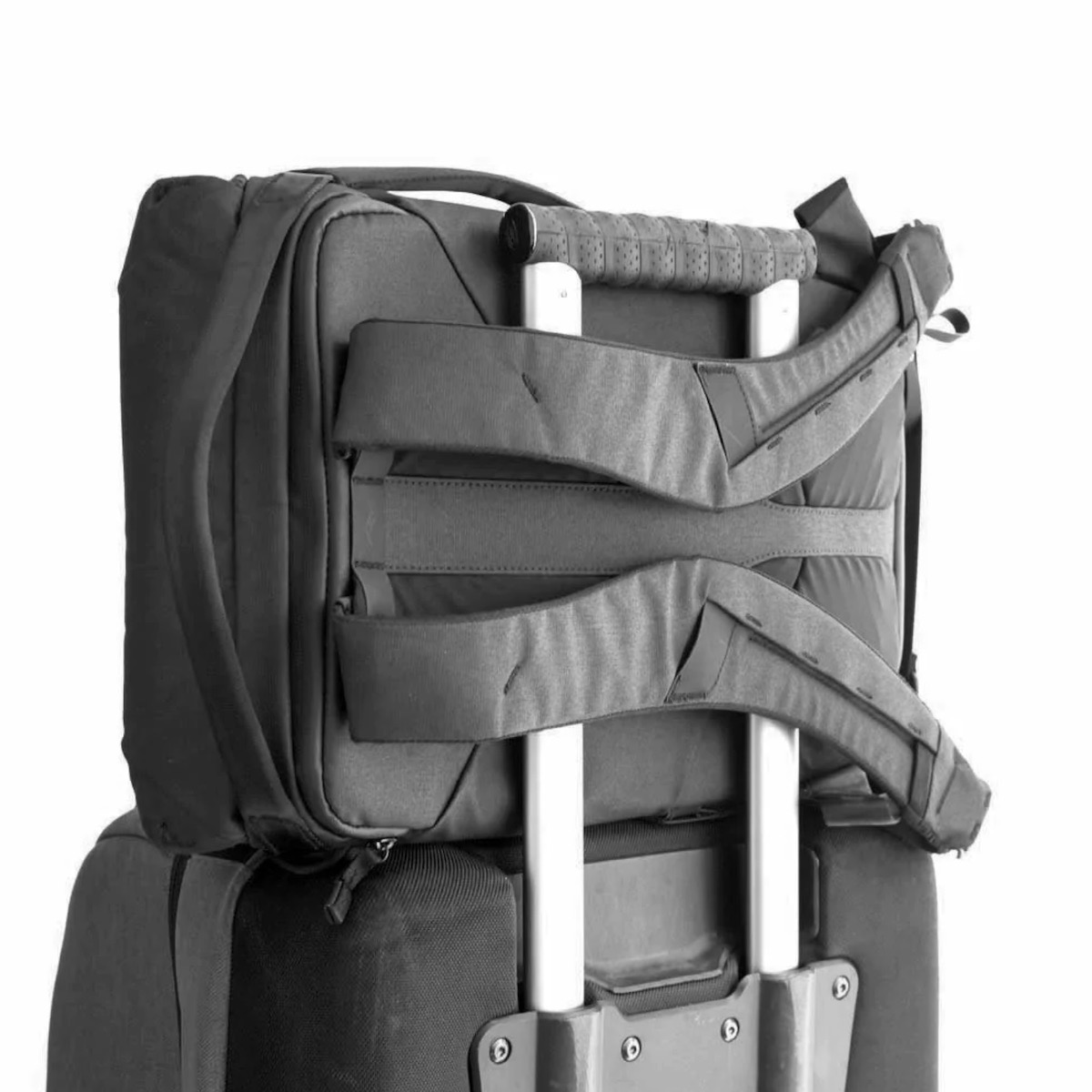 Peak Design Everyday Backpack 30L V2 Schwarz