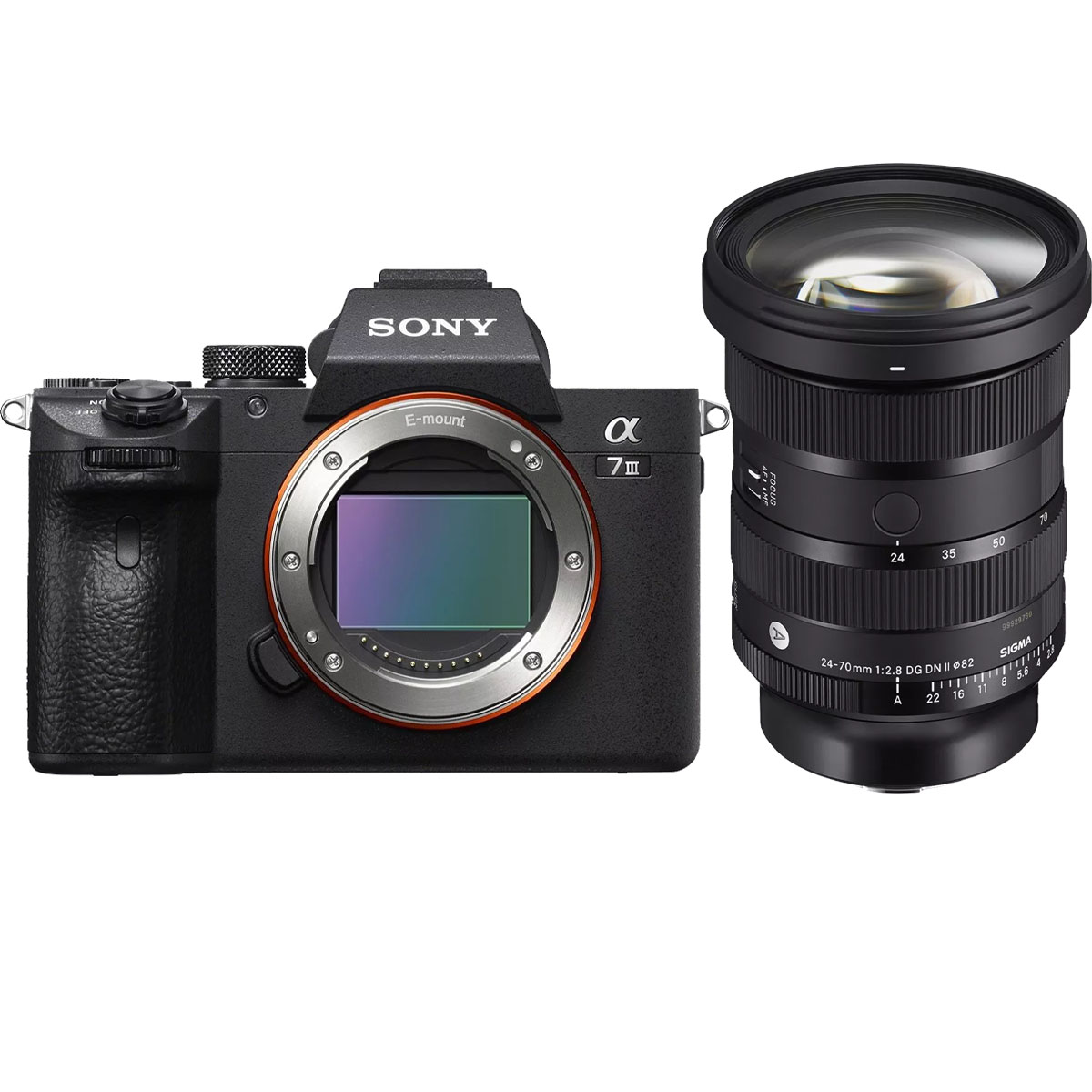 Sony Alpha 7 III + Sigma 24-70 mm 1:2,8 DG DN II (A) Sony E
