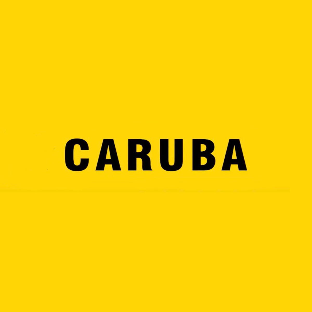 Caruba Sandsack Double PRO L