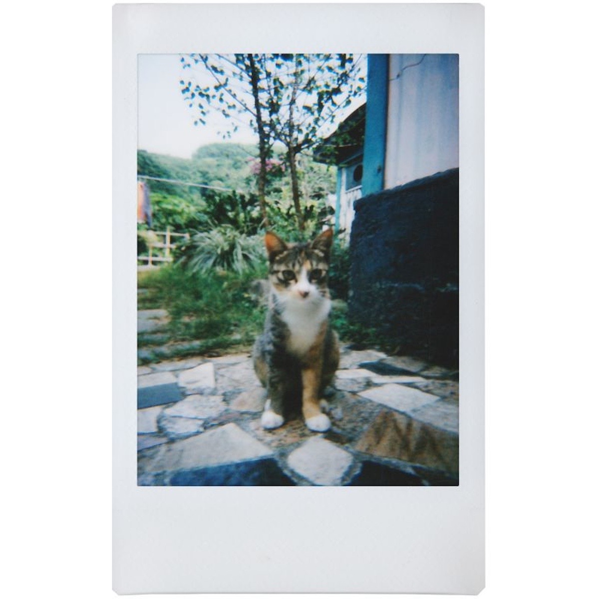 Lomography Lomo Instant Mini + Objektive Milano Edition