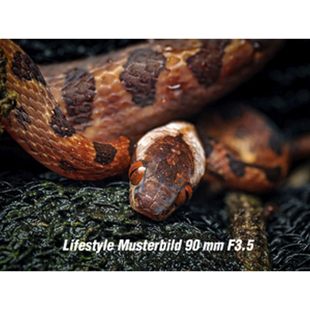 OM System M.Zuiko ED 90 mm 1:3,5 Makro IS Pro Schwarz