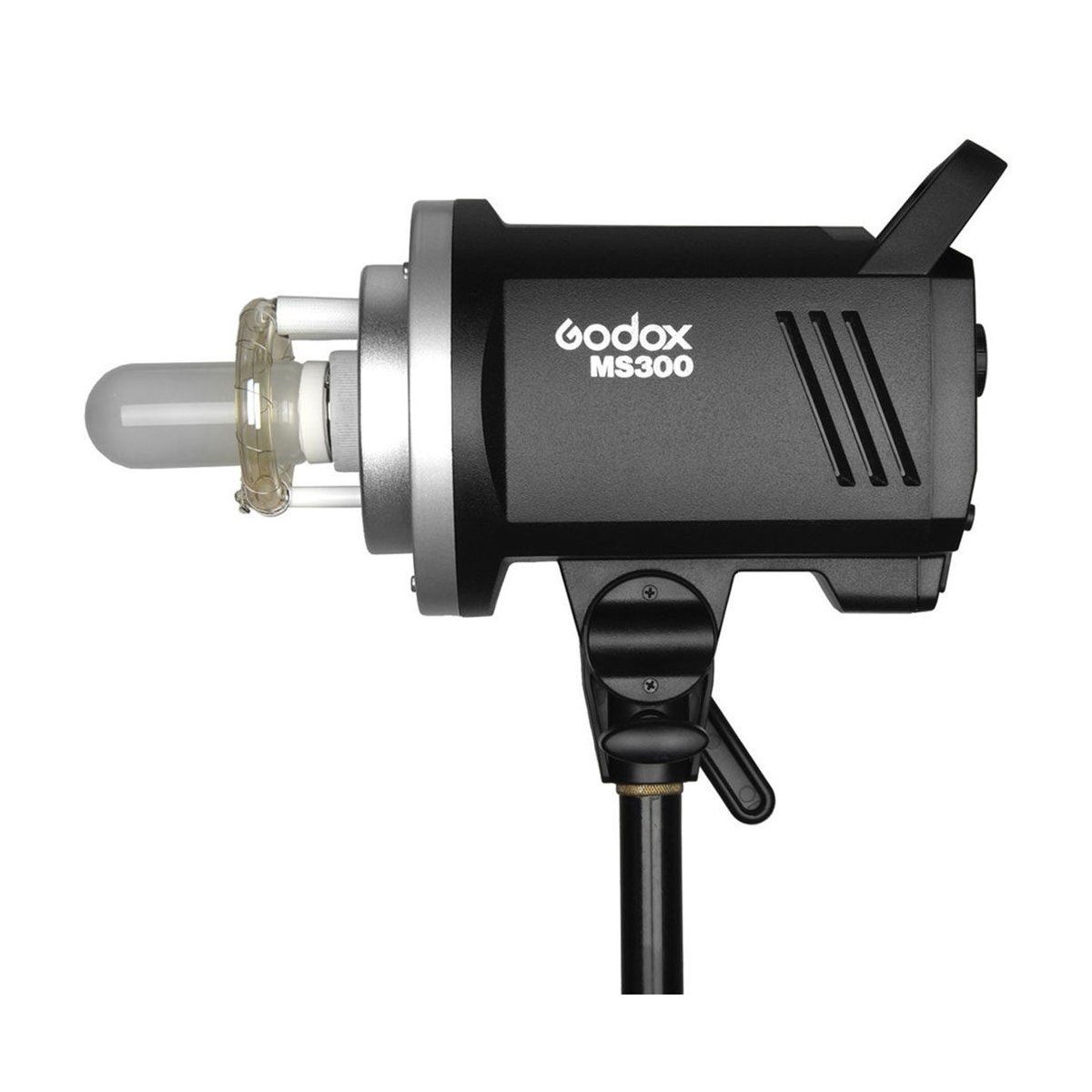 Godox MS300-D Kit
