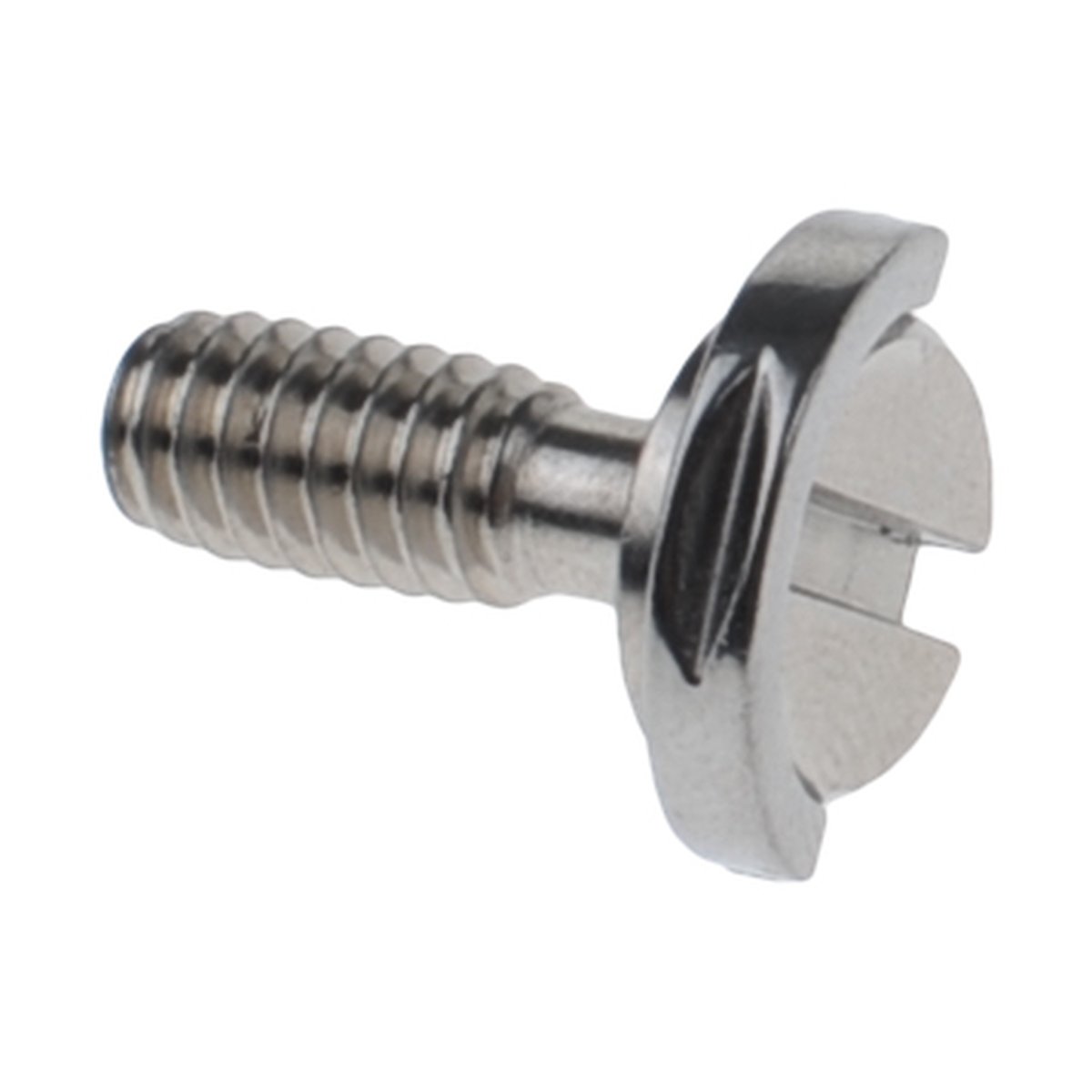 Caruba 1/4" Schraube mit D-Ring - Extra lang - Detailansicht einer silbernen Schraube mit Schlitzkopf