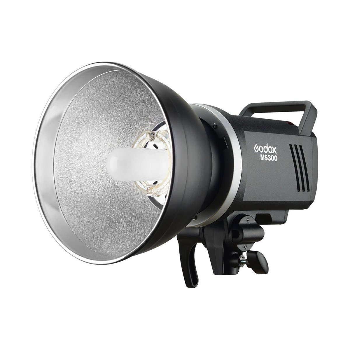 Godox MS300-D Kit