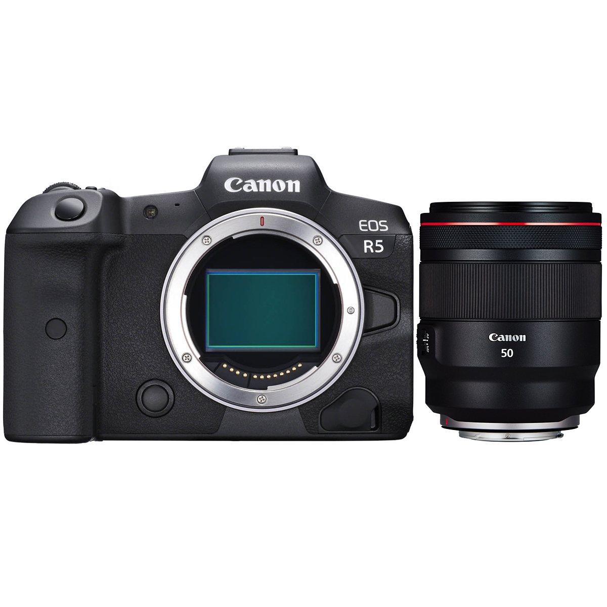 Canon EOS R5 + Canon RF 50 mm 1:1,2 L USM Canon EOS R5 + Canon RF 50 mm 1:1,2 L USM