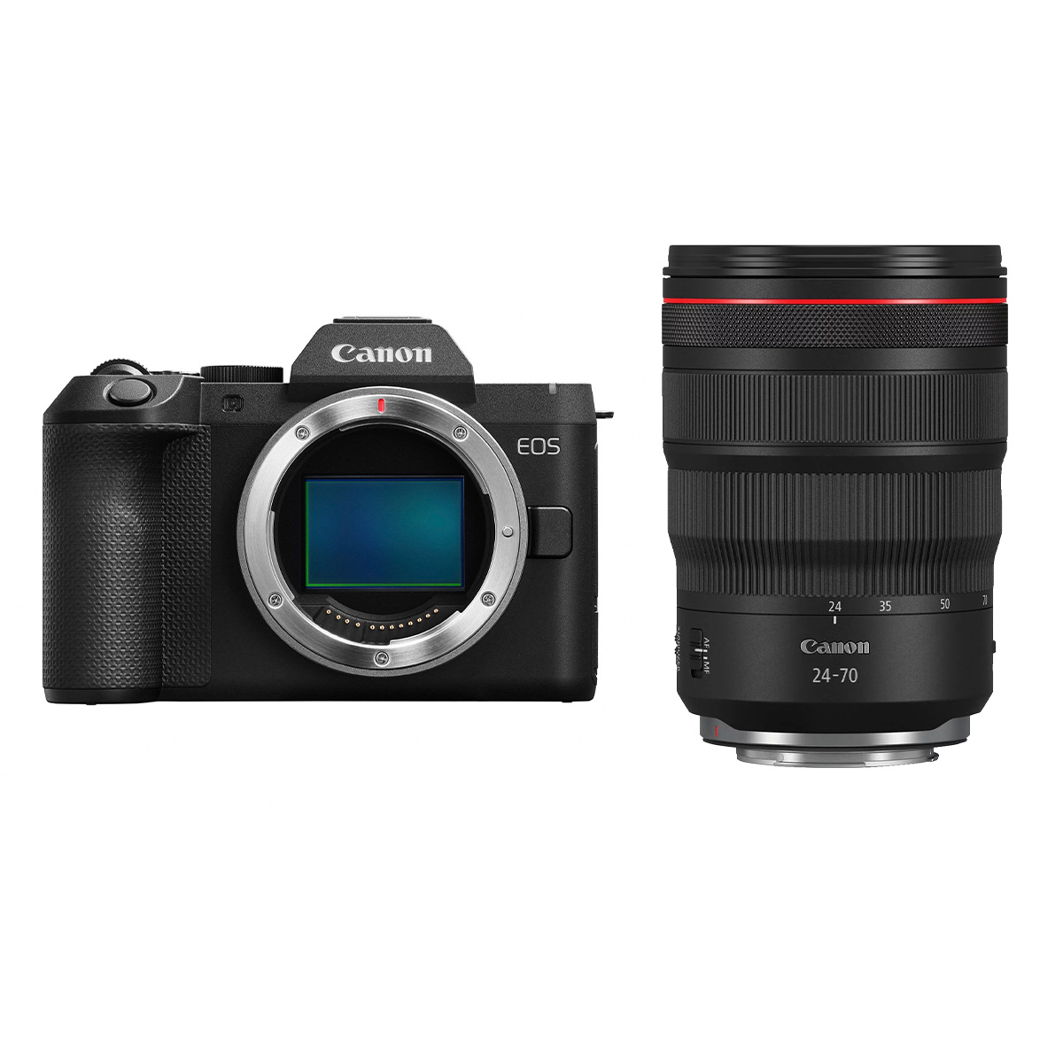 CANON EOS R 8 II + 24-70/2,8 RF