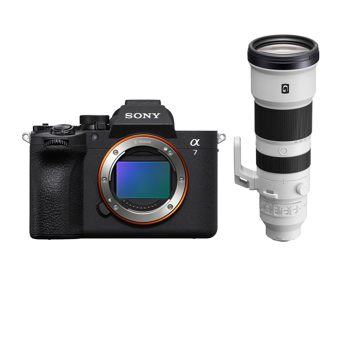 Sony Alpha 7 V + Sony 400-800 mm 1:6,3-8,0 G OSS FE