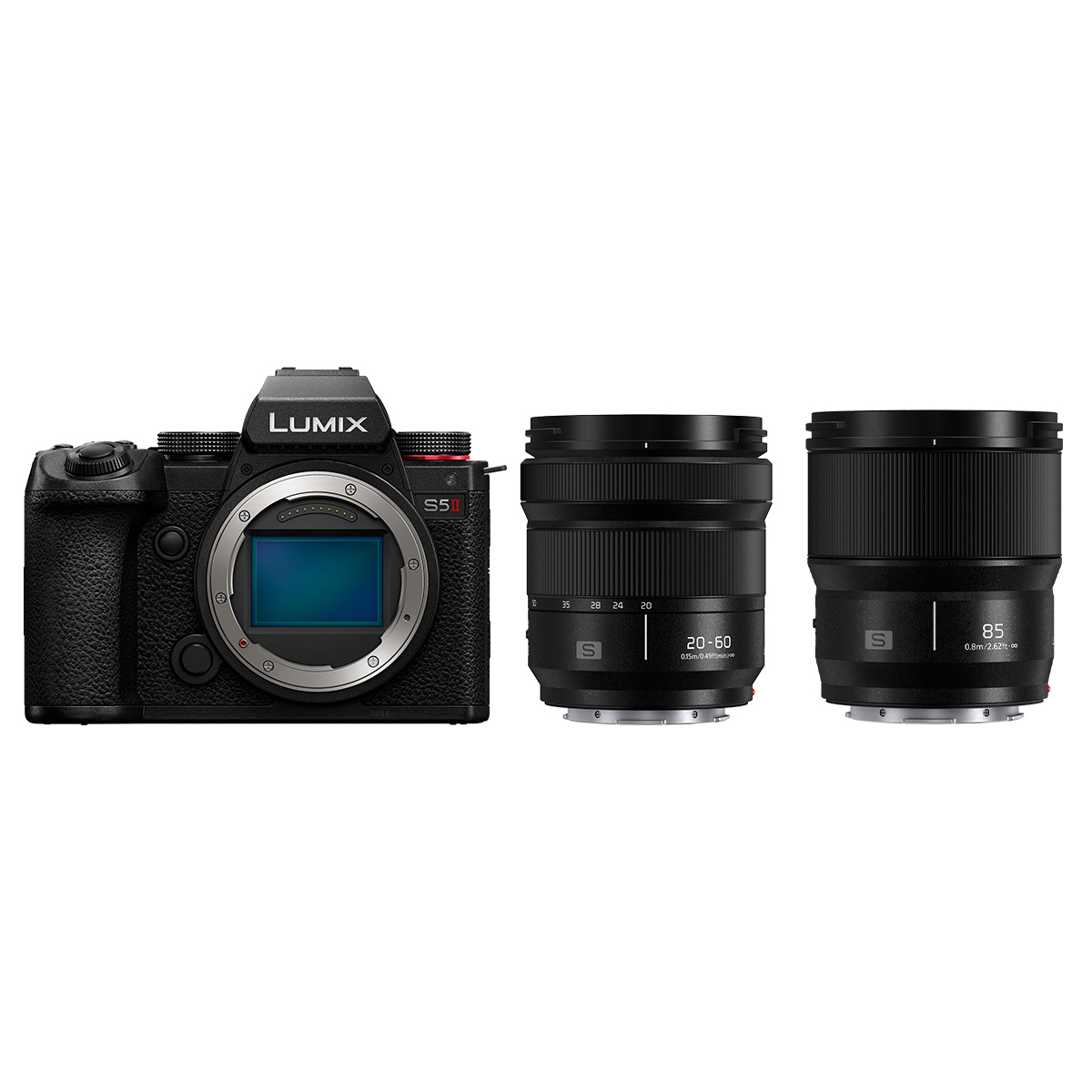 Panasonic DC-S5 II + Panasonic Lumix S 20-60 mm 1:3,5 - 1:5,6 + Panasonic Lumix 85 mm 1:1,8 S