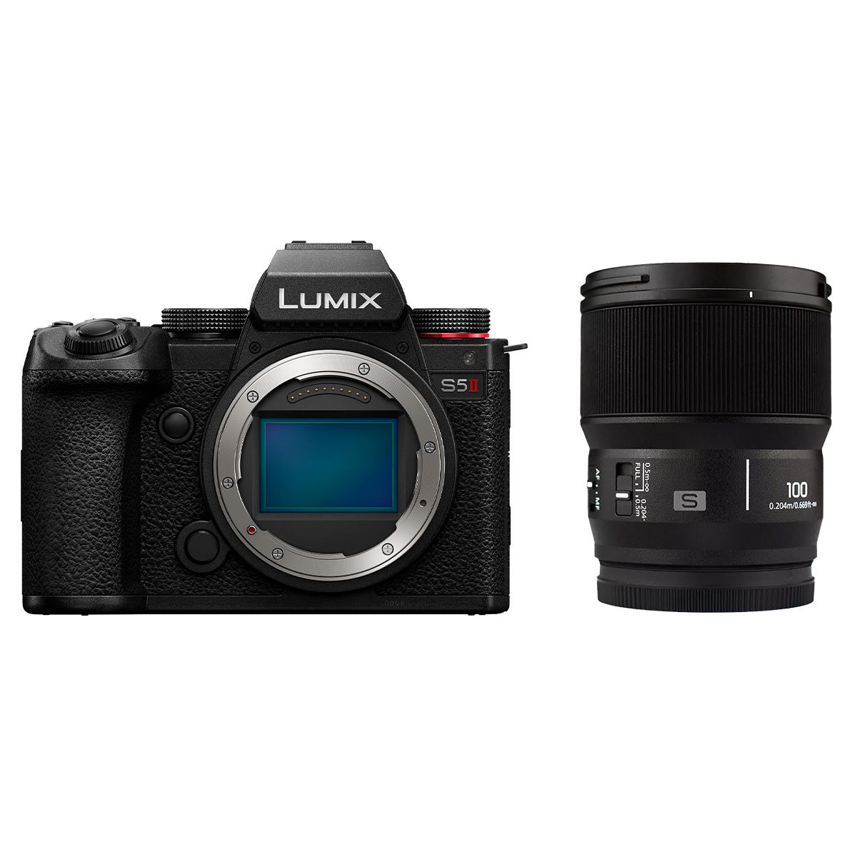 Panasonic DC-S5 II + Panasonic Lumix S 100 mm 1:2.8 Makro