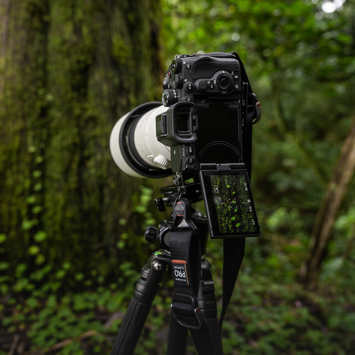 Sony Alpha 7R V Gehäuse