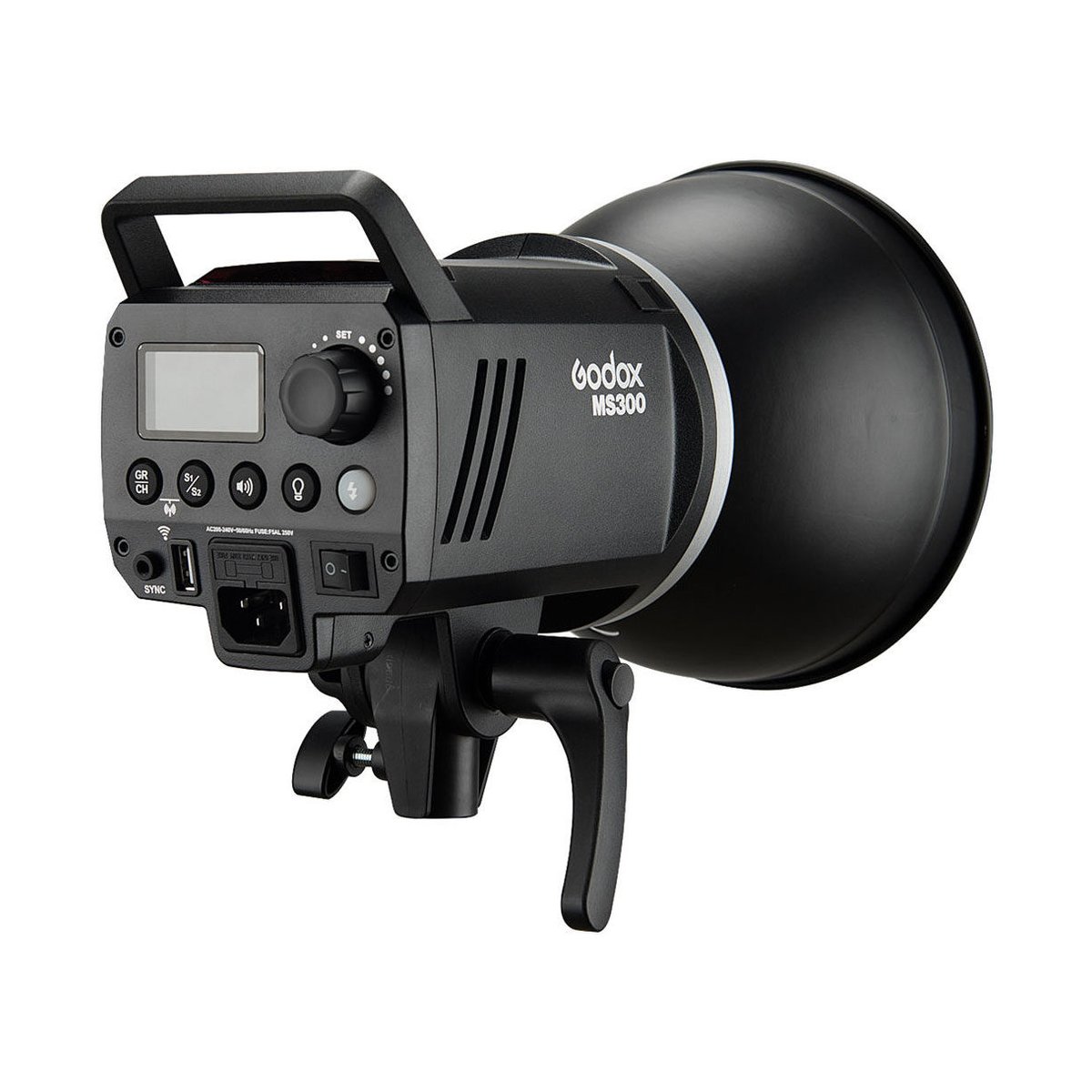 Godox MS300-D Kit