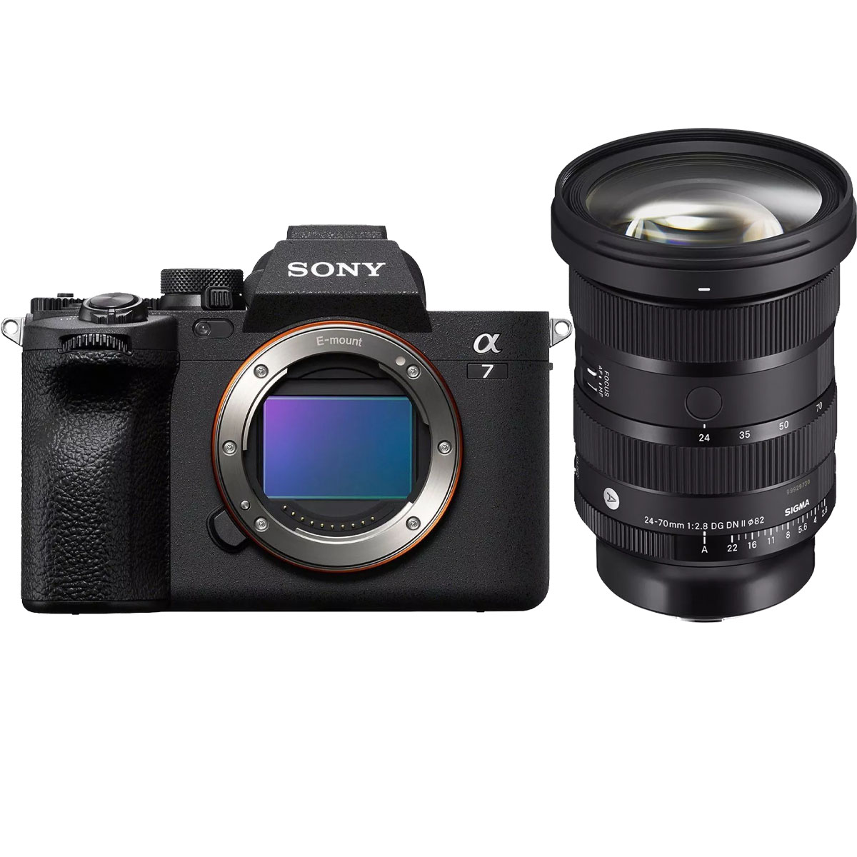 Sony Alpha 7 IV +  Sigma 24-70 mm 1:2,8 DG DN II (A) E-Mount Sony Alpha 7 IV +  Sigma 24-70 mm 1:2,8 DG DN II (A) E-Mount
