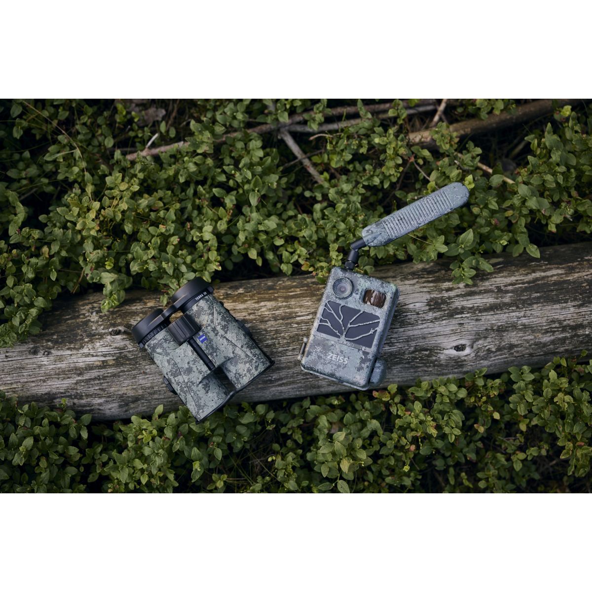 Zeiss Terra ED 10x42 Camouflage Sonderedition