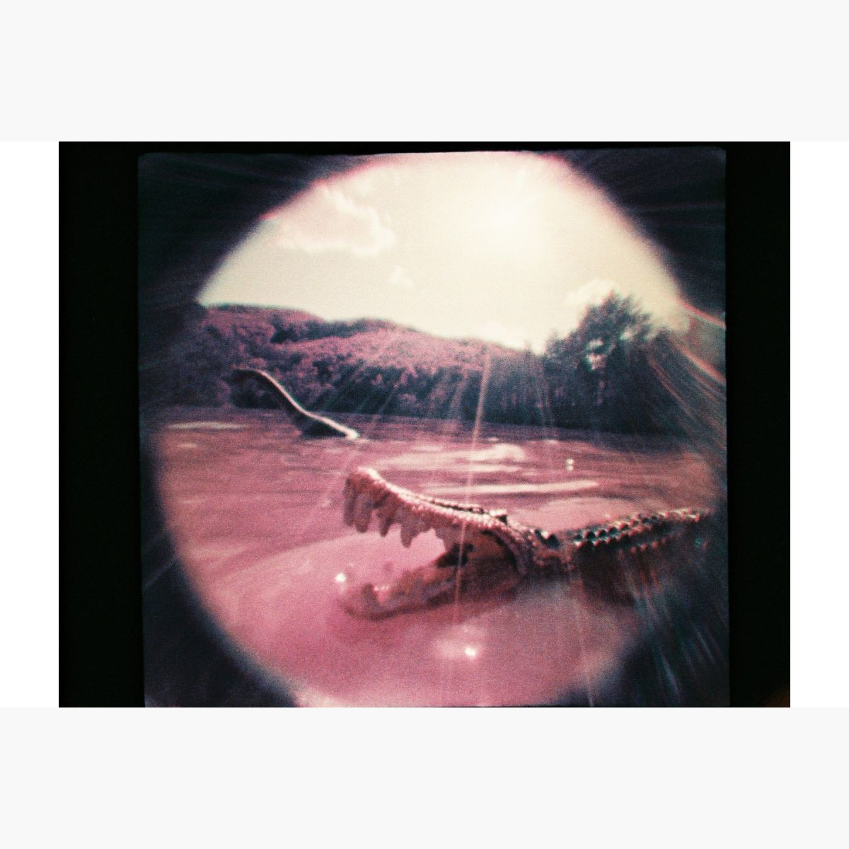 Lomography Fisheye Baby 110 Gold