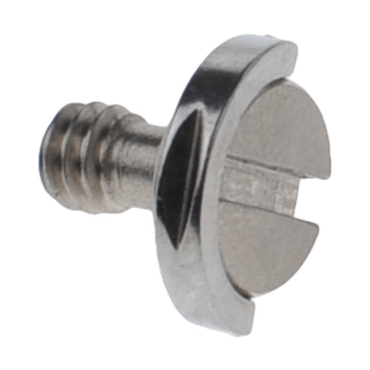 Caruba 1/4" Schraube mit D-Ring - Metall - Detailansicht einer silbernen Schraube mit halbmondförmigem Kopf und Schlitz.