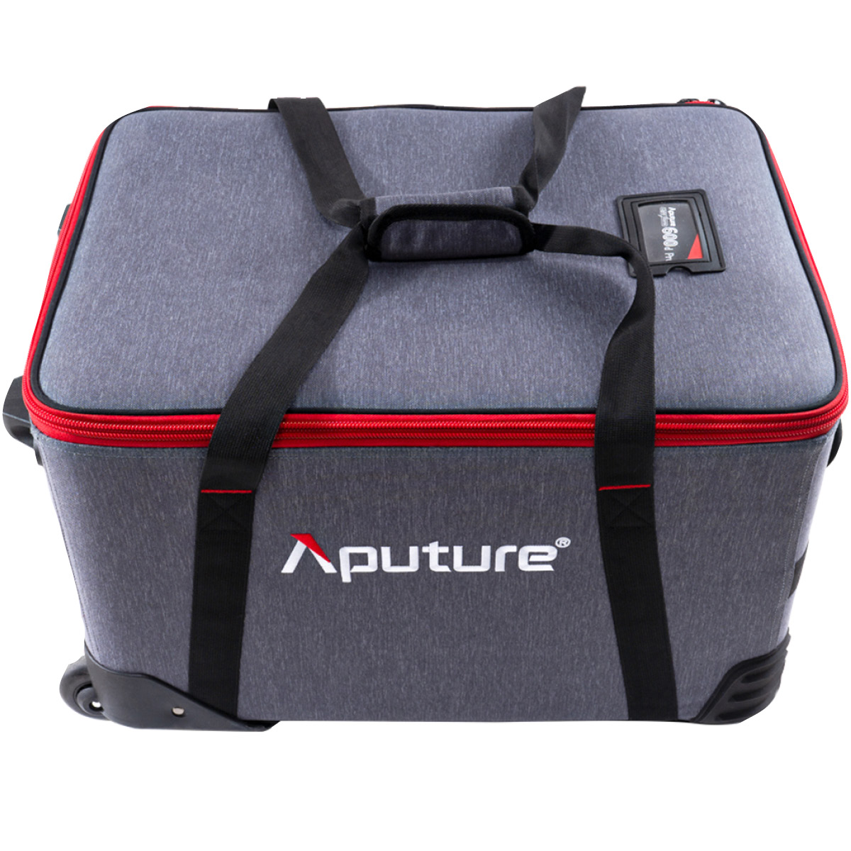 Aputure Light Storm 600d Pro Kit