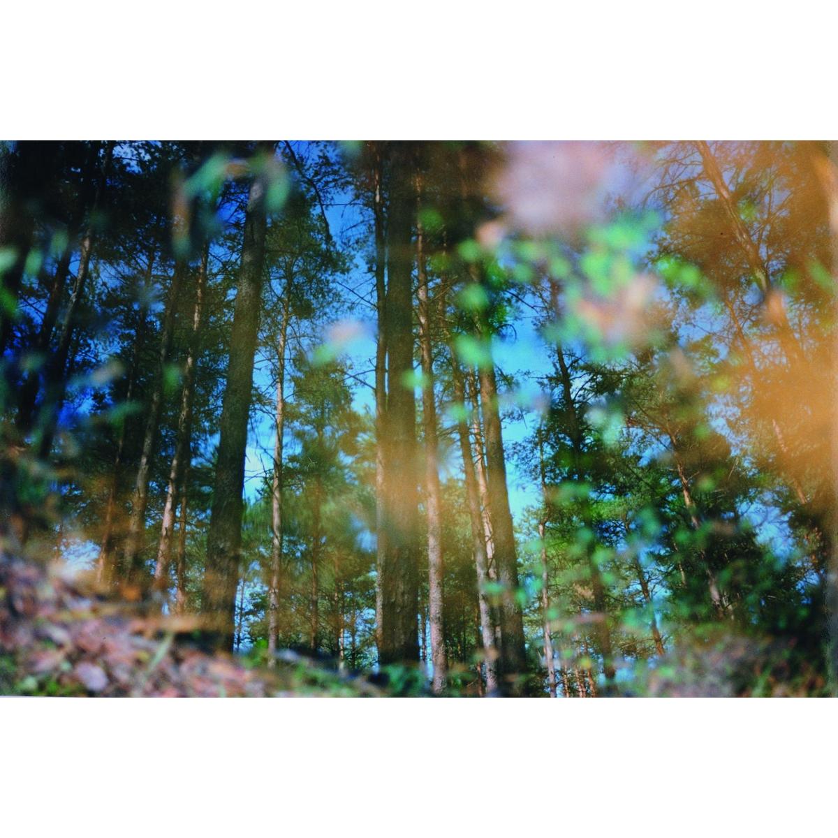 Holga HL-N 60mm f8,0 für Nikon F