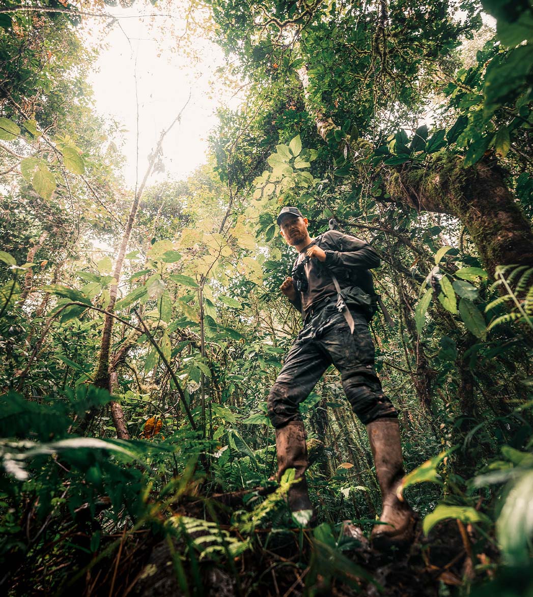 Dschungel Abenteuer Fotografie