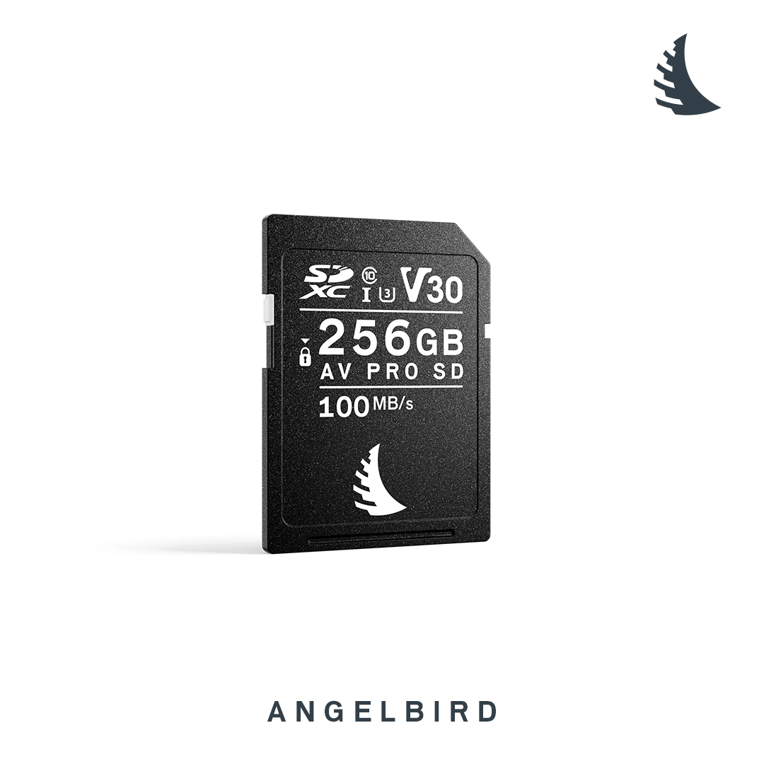 Angelbird 256 GB SD V30