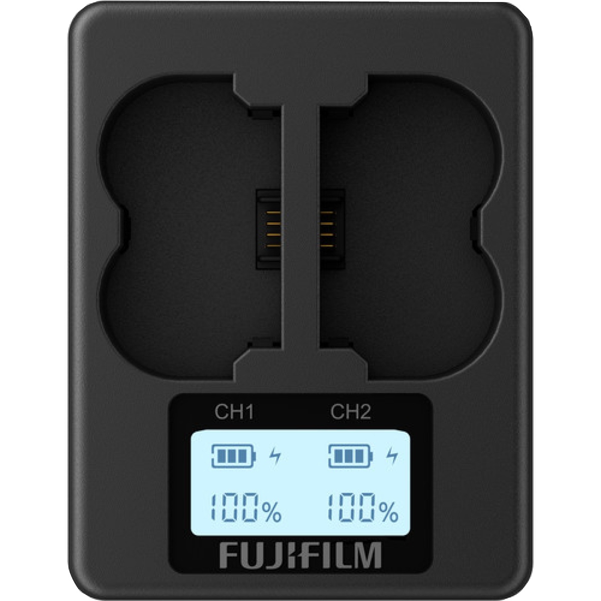 Fujifilm BC-W 235 Doppelladegerät
