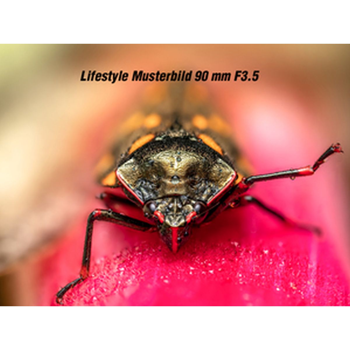 OM System M.Zuiko ED 90 mm 1:3,5 Makro IS Pro Schwarz