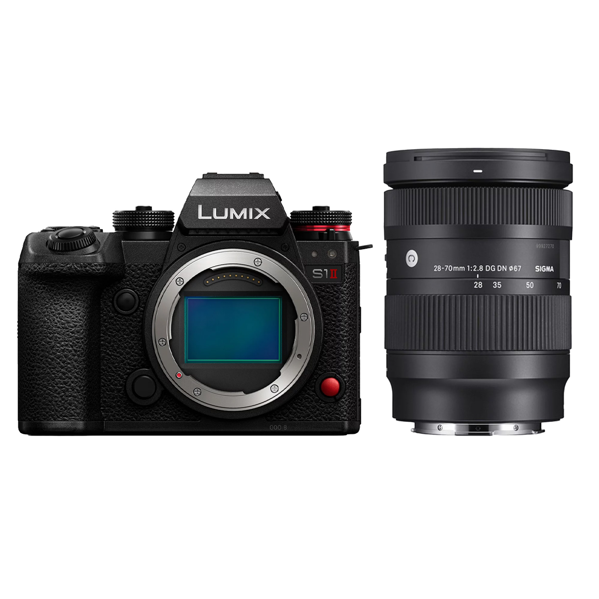 Panasonic Lumix DC-S1 II + Sigma 28-70 mm 1:2,8 DG DN (C)