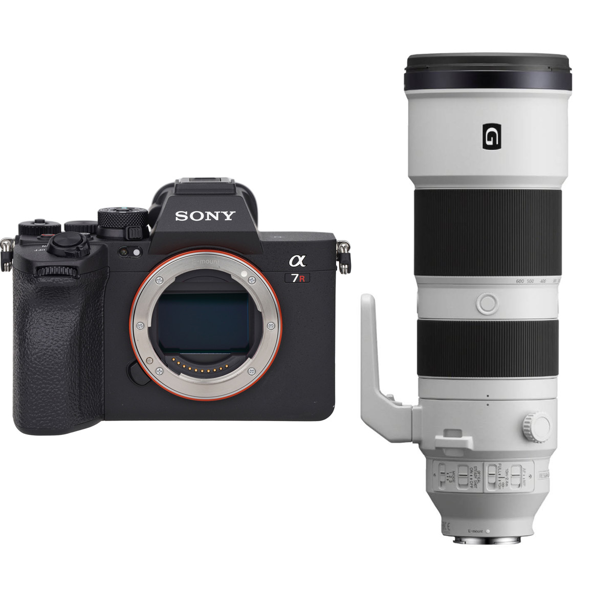 Sony Alpha 7R V + Sony 200-600 mm 1:5,6-6,3 G OSS