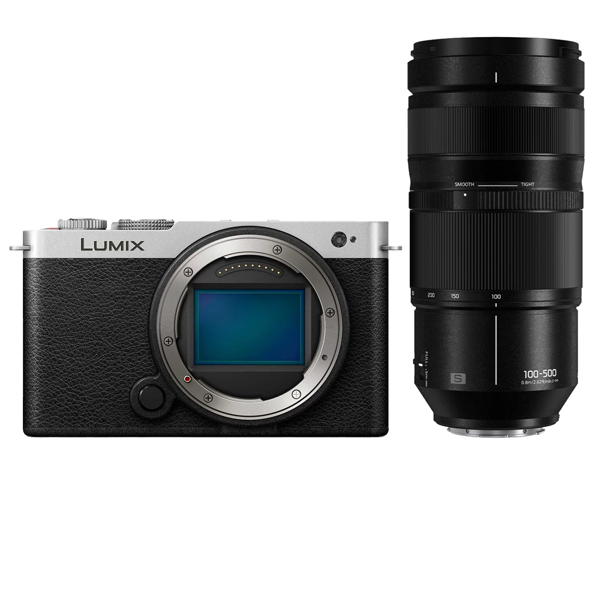 Panasonic Lumix DC-S9 Silber/Schwarz Systemkamera Vollformat & Panasonic 100-500 mm 1:5,0-7,1 S OIS Telezoomobjektiv