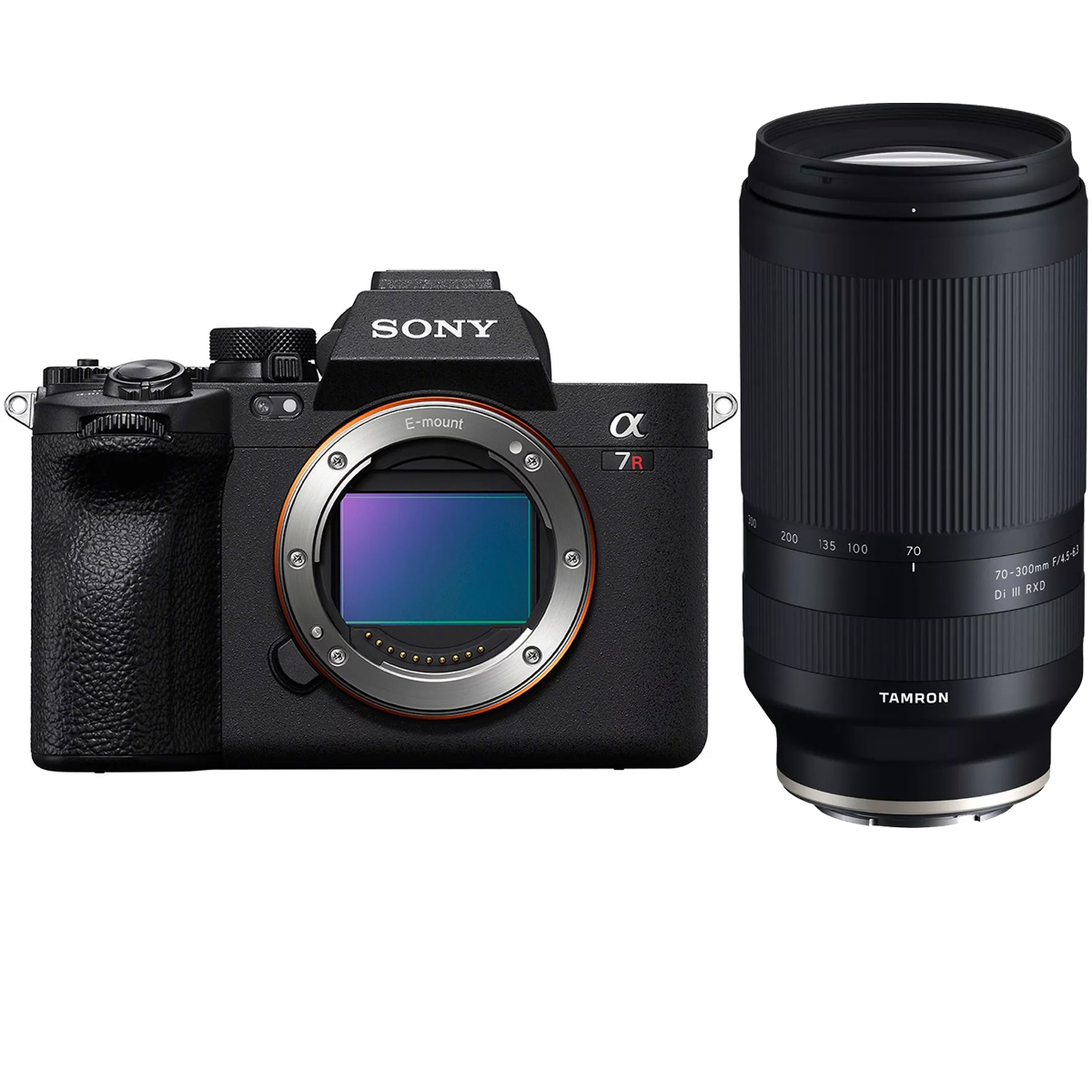 Sony Alpha 7R V + Tamron 70-300 mm