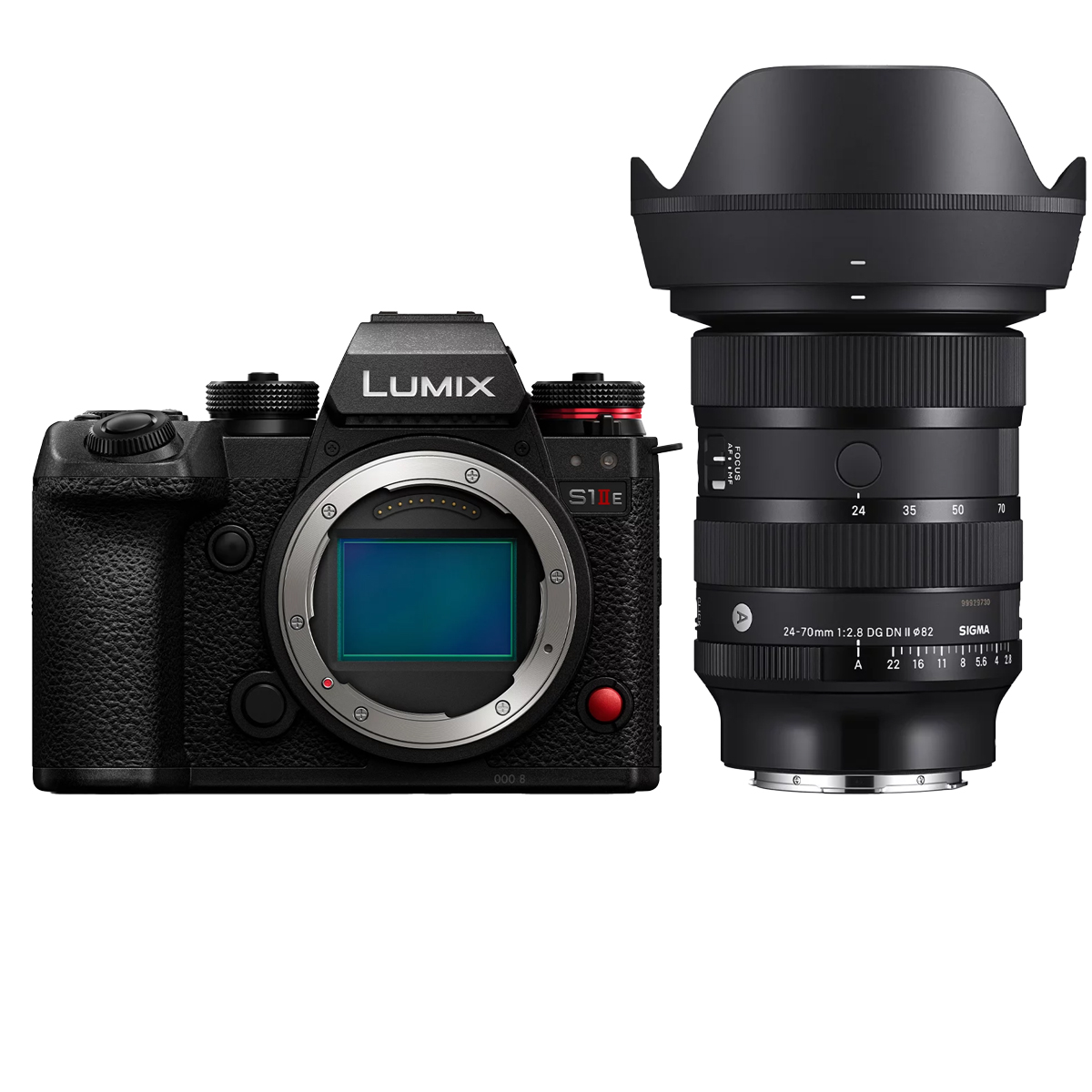 Panasonic DC-S1 IIE + Sigma 24-70 mm 1:2,8 DG DN II (A)